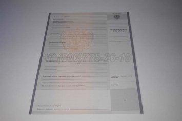 Академическая Справка Техникума 2023г во Владивостоке