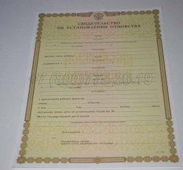 Свидетельство об Установлении Отцовства 2018г во Владивостоке