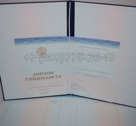Диплом о Высшем Образовании 2024г СпецБланк во Владивостоке