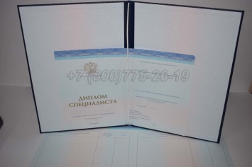 Диплом о Высшем Образовании 2024г СпецБланк во Владивостоке