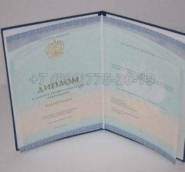 Диплом Колледжа 2022г СпецБланк во Владивостоке