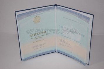 Диплом Колледжа 2022г СпецБланк во Владивостоке