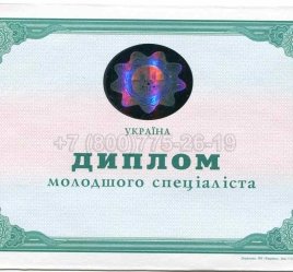 Диплом Техникума Украины 2013г во Владивостоке