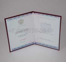 Аттестат За 11 Класс 2023г Золото ГОЗНАК во Владивостоке