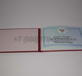 Аттестат Профессора 2023г во Владивостоке