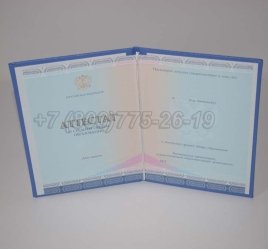 Аттестат За 11 Класс 2023г СпецБланк во Владивостоке