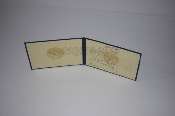 Диплом Техникума Советского Союза 1993г во Владивостоке