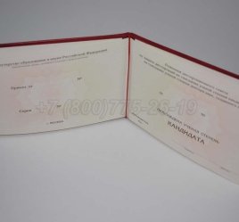 Диплом Кандидата Наук 2023г во Владивостоке