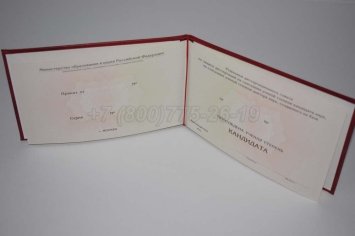 Диплом Кандидата Наук 2023г во Владивостоке