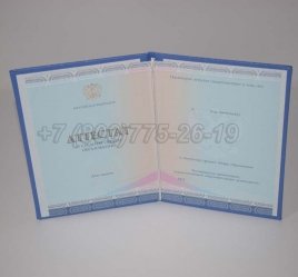 Аттестат За 11 Класс 2022г СпецБланк во Владивостоке