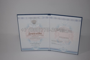 Диплом Техникума 2025г ГОЗНАК во Владивостоке