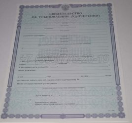 Свидетельство об Усыновлении 2019г во Владивостоке
