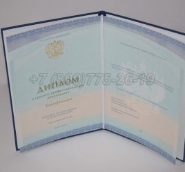 Диплом Техникума 2023г СпецБланк во Владивостоке