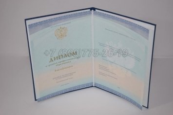 Диплом Техникума 2023г СпецБланк во Владивостоке