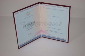 Аттестат За 11 Класс 2021г Золото СпецБланк во Владивостоке