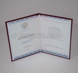 Аттестат За 11 Класс 2020г Золото ГОЗНАК во Владивостоке